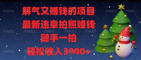 解气又挣钱的项目，最新违章拍照挣钱，随手一拍，轻松收入多张【揭秘】-逐浪前行