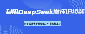 利用DeepSeek做怀旧视频,流量号多渠道变现能力强-逐浪前行