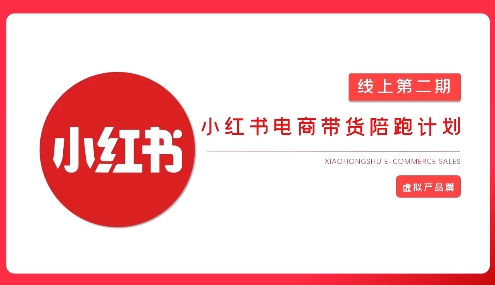 2025小红书虚拟电商实战课，从0到1打造无货源店铺，AI+爆款笔记轻松变现-逐浪前行