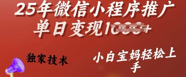 25年微信小程序推广单日变现多张，独家技术，小白宝妈轻松上手【揭秘】-逐浪前行