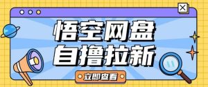 全网首发悟空网盘云真机自撸拉新项目玩法单机可挣10.20不等-逐浪前行