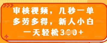 审核视频，几秒一单，多劳多得，新人小白一天轻松3张【揭秘】-逐浪前行