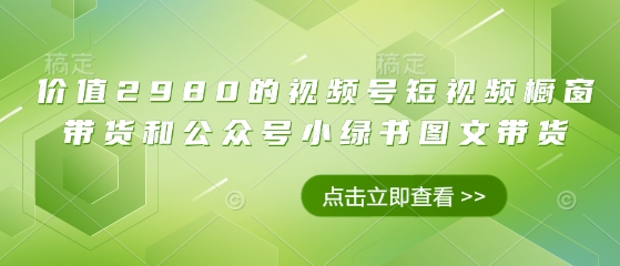 价值2980的视频号短视频橱窗带货和公众号小绿书图文带货-逐浪前行