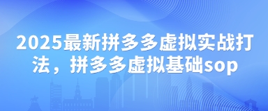 2025最新拼多多虚拟实战打法，拼多多虚拟基础sop-逐浪前行