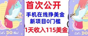 在线挣美金新项目,0门槛,1天收入115美刀,无脑操作,真正被动收入-逐浪前行