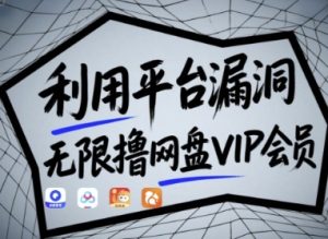 利用平台漏洞,无限撸网盘VIP会员,用户亲测有效!【漏洞原理+操作演示】-逐浪前行
