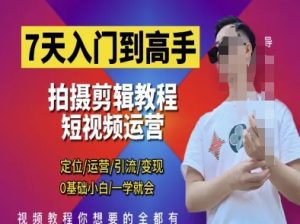 7天入门到高手,短视频剪辑运营高手课,定位 运营 引|流 变现,0基础小白一学就会-逐浪前行
