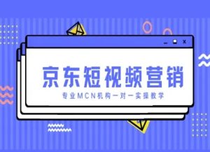 京东短视频营销项目，专业MCN机构一对一实操教学-逐浪前行