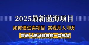 2025蓝海项目,普通人如何通过卖项目,实现月入过W,全过程【揭秘】-逐浪前行