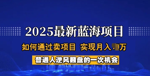 2025蓝海项目，普通人如何通过卖项目，实现月入过W，全过程【揭秘】-逐浪前行