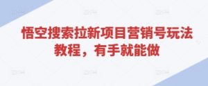 悟空搜索拉新项目营销号玩法教程,有手就能做-逐浪前行