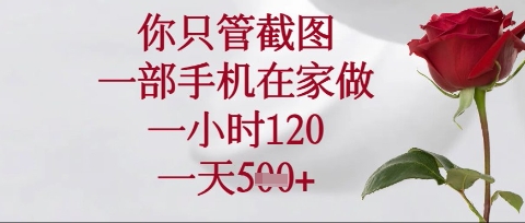 你只管截图，一部手机在家操作，一小时120.一天5张【揭秘】-逐浪前行