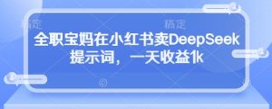 全职宝妈在小红书卖DeepSeek提示词,一天收益1k-逐浪前行