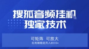 【搜狐音频挂G】独家技术，可矩阵可放大，红利期稳定月入8k【揭秘】-逐浪前行