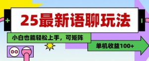 25年最新语聊玩法,纯手工,单机收益100+,小白也能轻松上手,可矩阵操作-逐浪前行