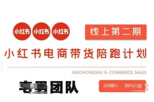 小红书电商带货课2期,月利润20个的小红书电商的有货源,无货源,虚拟产品,付费投流等整套玩法-逐浪前行