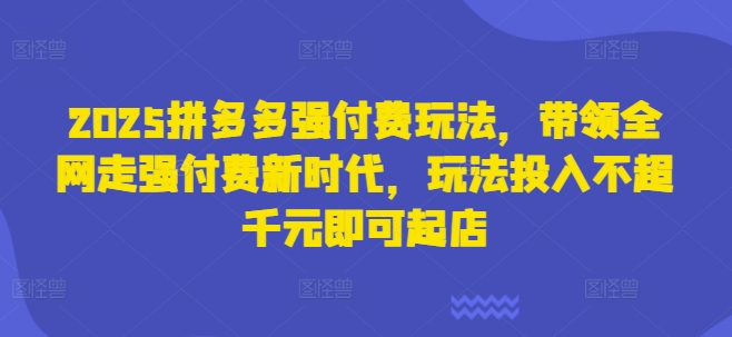 2025拼多多强付费玩法，带领全网走强付费新时代，玩法投入不超千元即可起店-逐浪前行