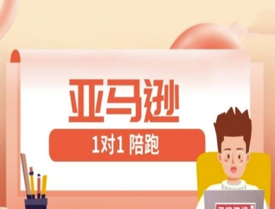 亚马逊1对1陪跑课(FBA/FBM精铺)跨境亚马逊教程-逐浪前行