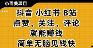 小而美的项目,抖音小红书B站视频点赞、关注、评论就能挣钱,简单无脑立见收益,妥妥的零撸项目【揭秘】-逐浪前行