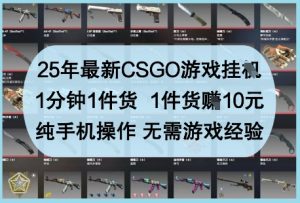 25年最新CSGO游戏挂G，1分钟1件货，1件货挣10元，纯手机操作，无需游戏经验【揭秘】-逐浪前行