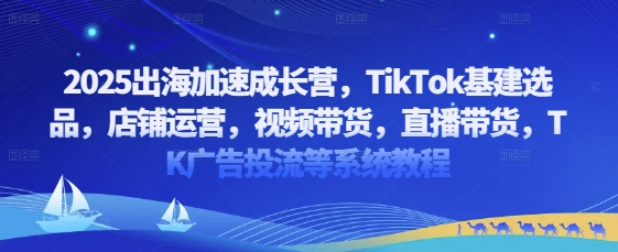 2025出海加速成长营，TikTok基建选品，店铺运营，视频带货，直播带货，TK广告投流等系统教程-逐浪前行