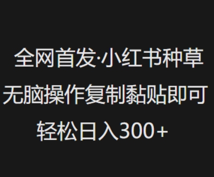 全网首发，小红书种草无脑操作，复制黏贴即可，轻松日入3张-逐浪前行