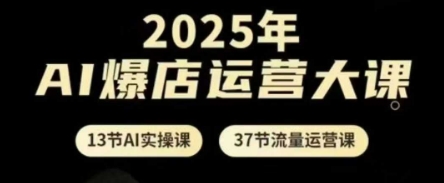 2025年AI爆店运营大课，13节AI实操课+37节流量运营课-逐浪前行