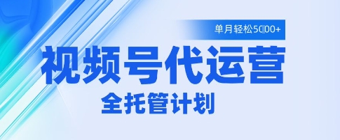 视频号代运营2.0，全程托管招募，单月轻松变现5k【揭秘】-逐浪前行