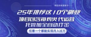 25年推荐这10个副业项目包含褂鸡类、代运营托管类、全自动打金类【揭秘】-逐浪前行