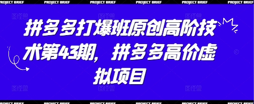 拼多多打爆班原创高阶技术第43期，拼多多高价虚拟项目-逐浪前行