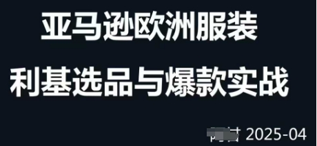 跨境电商选品案例24-25年，聚焦跨境电商选品策略与运营优化，助力卖家挖掘蓝海市场-逐浪前行