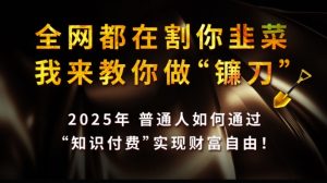 全网都在割你韭菜,我来教你做镰刀,2025普通人如何通过知识付费,实现财F自由【揭秘】-逐浪前行