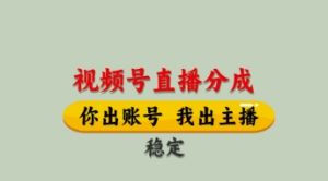 视频号直播分成，全程托管招募，单月轻松变现8k【揭秘】-逐浪前行