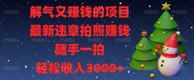 解气又挣钱的项目，最新违章拍照挣钱，随手一拍，轻松收入数张【揭秘】-逐浪前行
