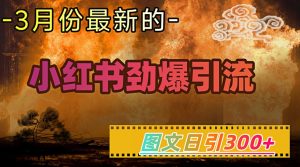 小红书超劲爆引流手段,图文日引300+轻松变现1W-逐浪前行