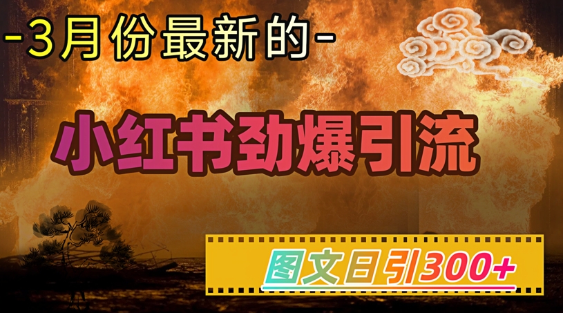 小红书超劲爆引流手段，图文日引300+轻松变现1W-逐浪前行
