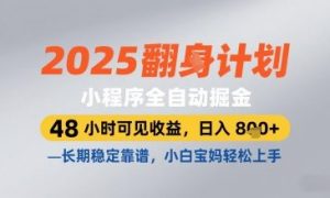 2025小程序全自动掘金,48 小时可见收益,日入8张,长期稳定靠谱,小白宝妈轻松上手【揭秘】-逐浪前行