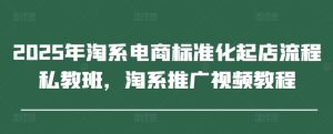 2025年淘系电商标准化起店流程私教班,淘系推广视频教程-逐浪前行