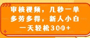 视频审核员，几秒一单，不限时间，不限地点，多做多得，新人小白一天轻松几张+【揭秘】-逐浪前行
