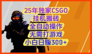25年独家CSGO挂G搬砖,全自动操作,无需打游戏,小白日入3张+【揭秘】-逐浪前行