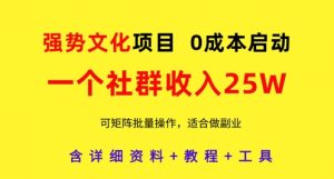 强势文化项目,一个社群收入25个W,0成本启动,可矩阵批量操作,原创详细实操教程-逐浪前行
