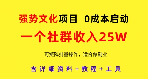 强势文化项目，一个社群收入25个W，0成本启动，可矩阵批量操作，原创详细实操教程-逐浪前行