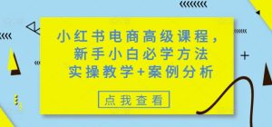 小红书电商高级课程,新手小白必学方法,实操教学+案例分析-逐浪前行