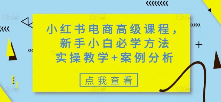 小红书电商高级课程，新手小白必学方法，实操教学+案例分析-逐浪前行