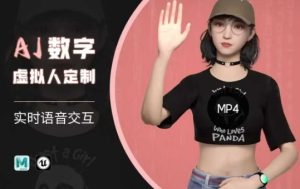 Ai数字人虚拟(智能体)实时语音交互特训营,自行定制超写实角色AI数字人交互技术-逐浪前行