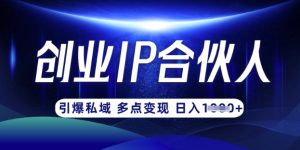 云帆·创业ip合伙人打造3.0,从0到1教你做网创,实现月入过W-逐浪前行