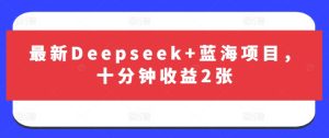 最新Deepseek+蓝海项目,十分钟收益2张-逐浪前行