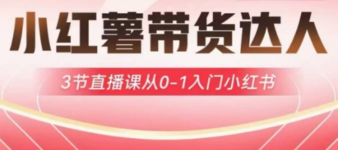 小红薯达人带货启航计划，3节直播课从0-1入门小红书-逐浪前行