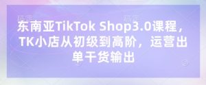东南亚TikTok Shop3.0课程,TK小店从初级到高阶,运营出单干货输出-逐浪前行