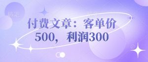 付费文章:客单价500,利润300-逐浪前行